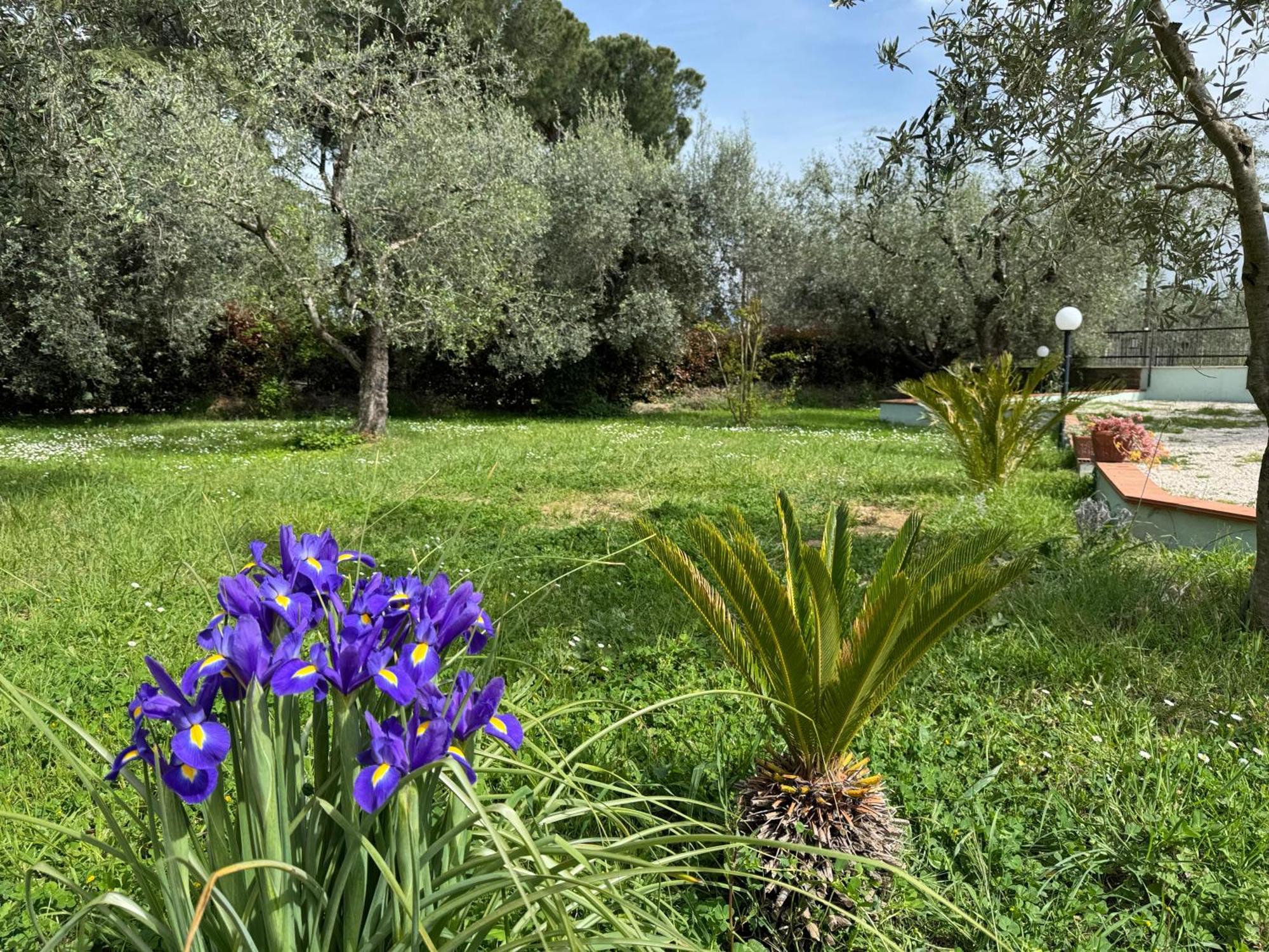 La Piccola Provenza Villa Fiano Romano Exterior photo
